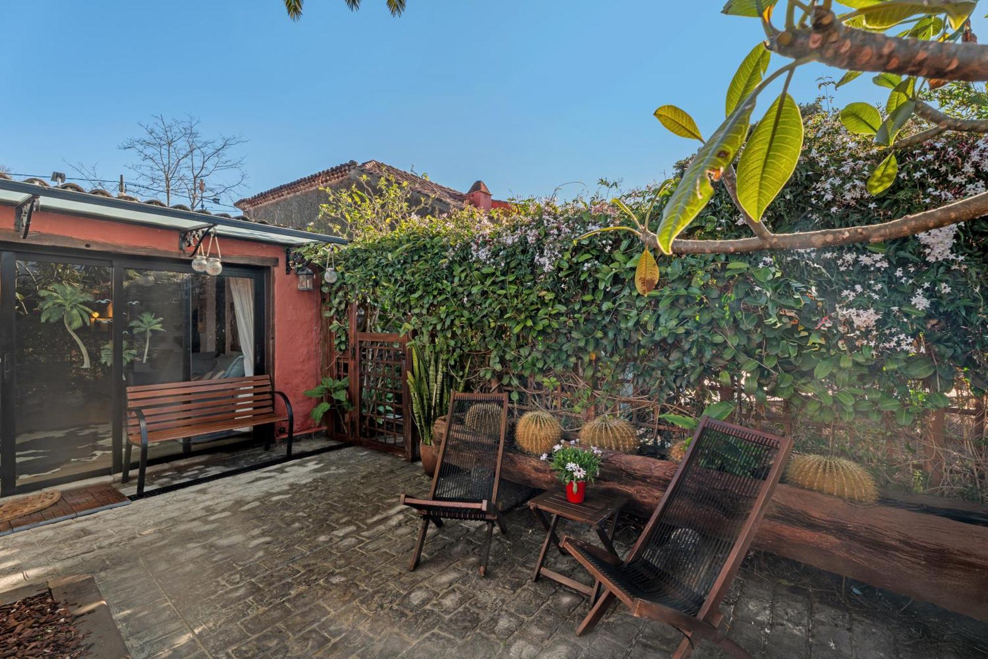 Casa Palmera - Private Paradise Такоронте Экстерьер фото