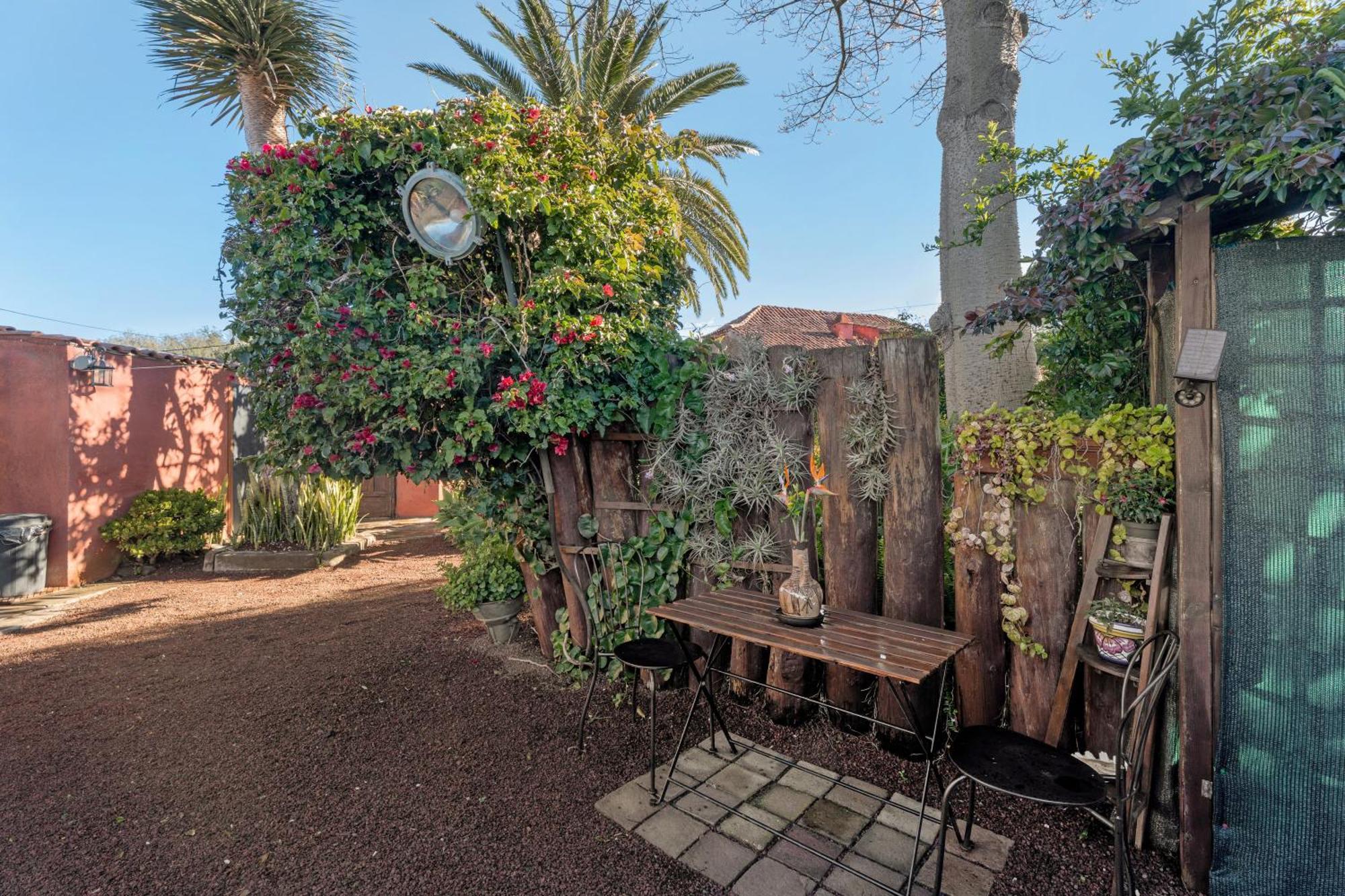 Casa Palmera - Private Paradise Такоронте Экстерьер фото