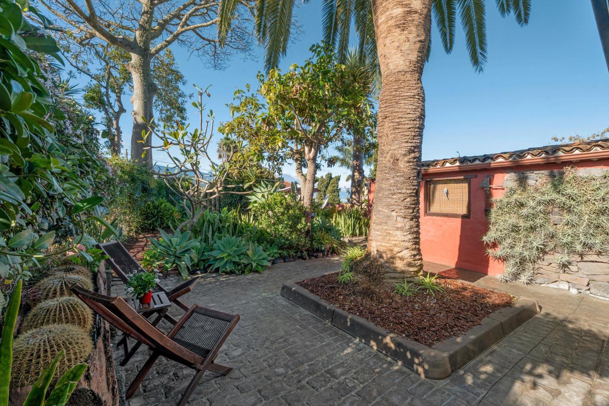 Casa Palmera - Private Paradise Такоронте Экстерьер фото